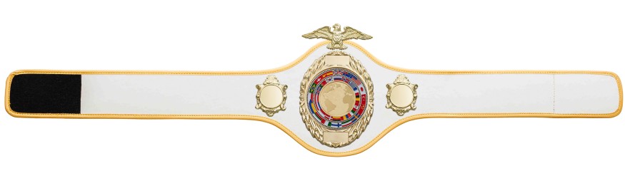 CHAMPIONSHIP BELT PRO288/G/FLAGG - AVAILABLE IN 10 COLOURS CHAMPIONSHIP BELT PRO288/G/FLAGG - AVAILABLE IN 10 COLOURS